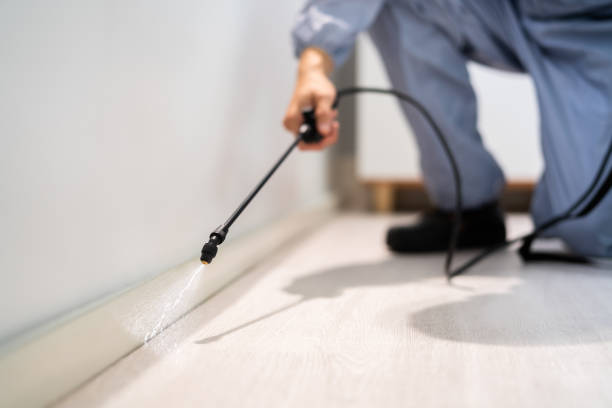 Licensed Termite Control service in Claude, TX - Nex Pest Control