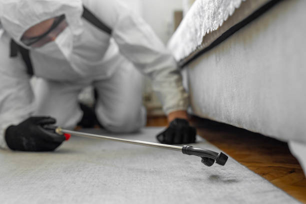 Professional Termite Control technician working in Claude, TX