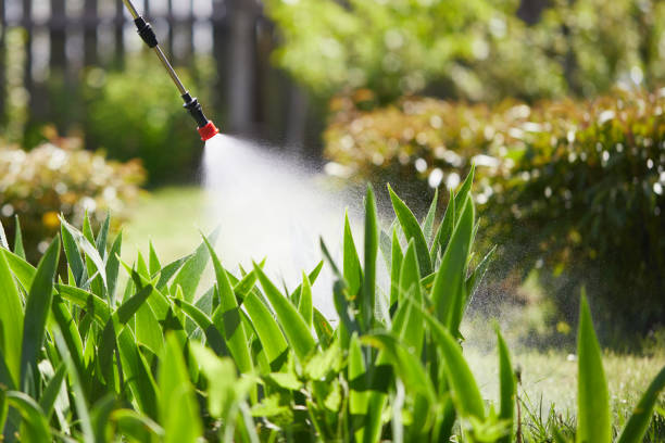 24/7 Emergency Termite Control experts in Claude, TX